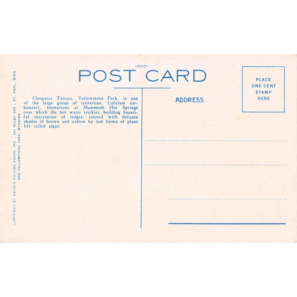 Haynes Yellowstone National Park Cleopatra Terrace Mammoth Hot Springs Postcard - Picture 2 of 2